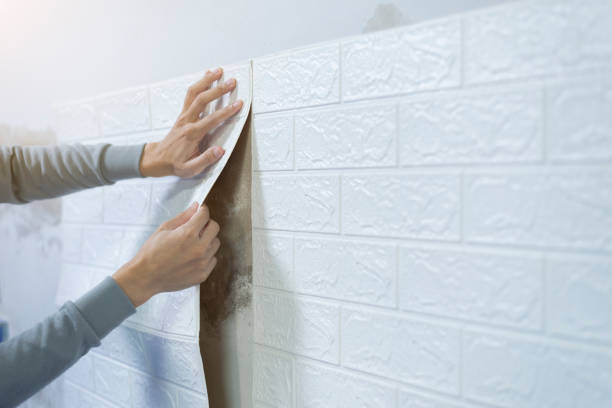 Wallpaper Installation 2